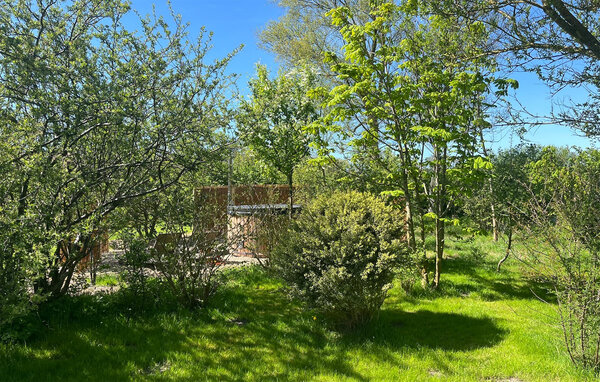 Ferienhaus - Bork Havn , Dänemark - P52801 104