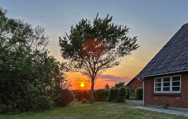Ferienhaus - Bork Havn , Dänemark - P52801 105