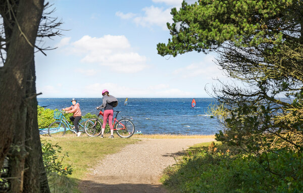 Semesterhus - Skaven Strand , Danmark - P52820 901
