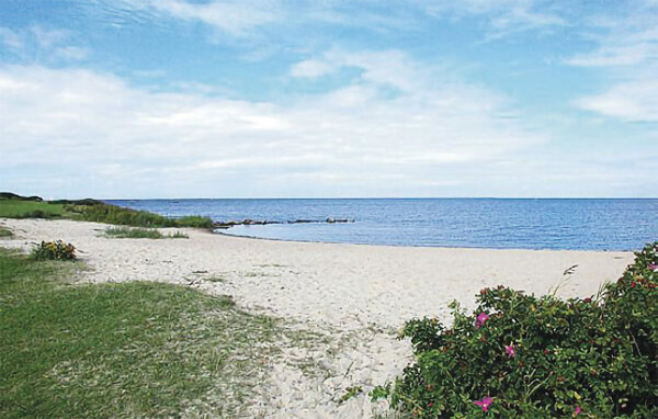 Semesterhus - Skaven Strand , Danmark - P52855 901