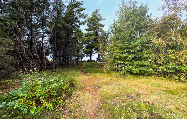 Semesterhus - Skaven Strand , Danmark - P52864 101