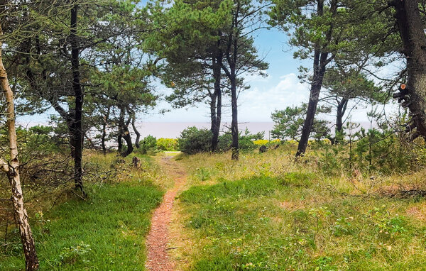 Semesterhus - Skaven Strand , Danmark - P52864 2