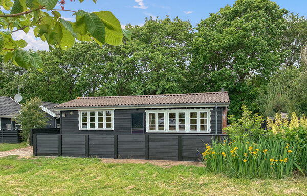 Feriehus - Bork Havn , Danmark - P52882 81
