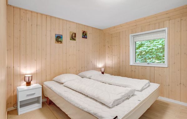 Casa vacanze - Stauning , Danimarca - P52949 602