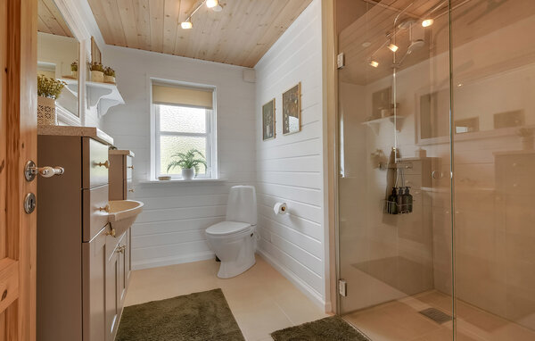 Domy wakacyjne - Stauning , Dania - P52988 701