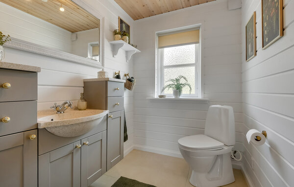 Domy wakacyjne - Stauning , Dania - P52988 702