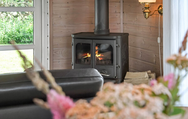 Domy wakacyjne - Stauning , Dania - P52988 302