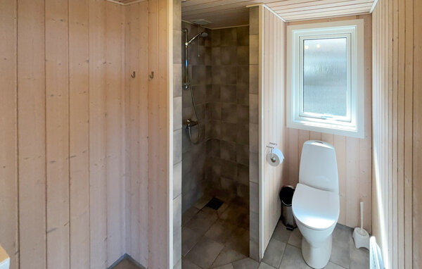 Ferienhaus - Skodbjerge , Dänemark - P62167 701