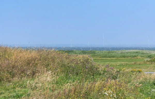 Semesterhus - Hvide Sande , Danmark - P62249 201