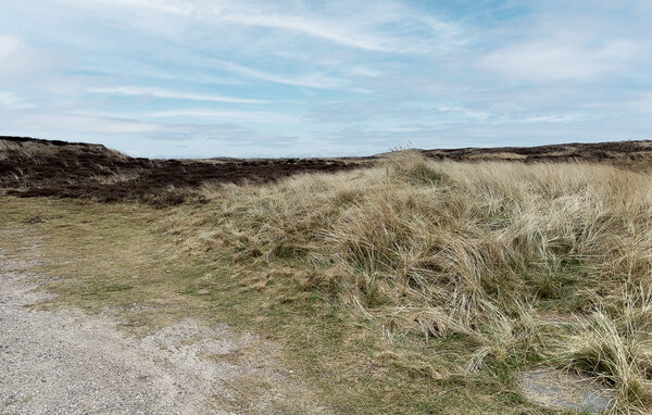 Domy wakacyjne - Bjerregård , Dania - P62340 105