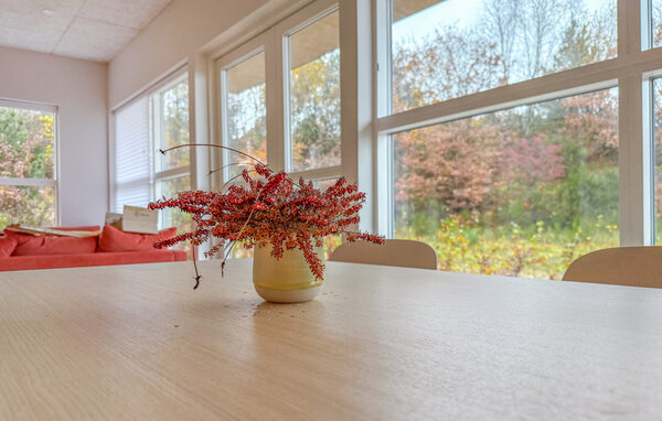 Feriehuse - Rørbæk Sø , Danmark - P85084 302