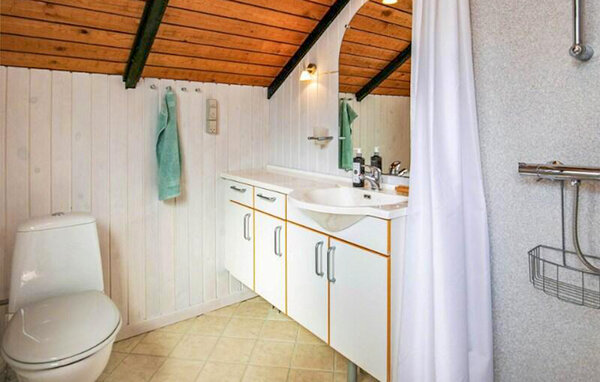 Ferienhaus - Kvie sø , Dänemark - P85094 701