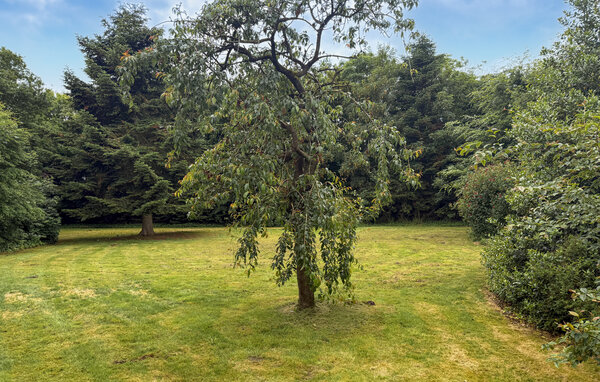 Location de vacances - Ansager , Danemark - P85098 101