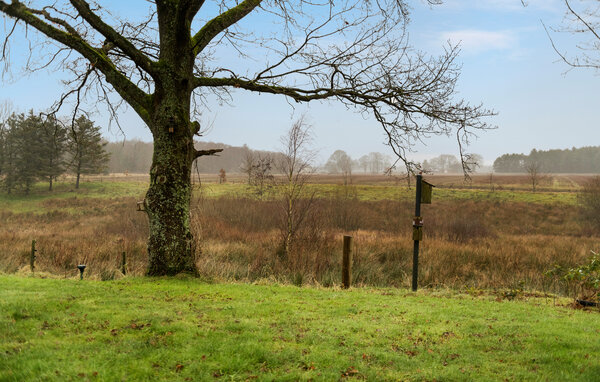 Ferienhaus - Hovborg , Dänemark - P95011 102