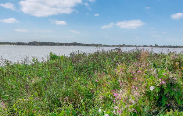 Ferienhaus - Sunds Sø , Dänemark - P95012 201