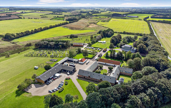 Domy wakacyjne - Lindknud , Dania - P95024 2