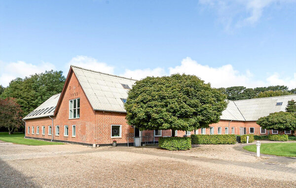 Domy wakacyjne - Lindknud , Dania - P95024 1