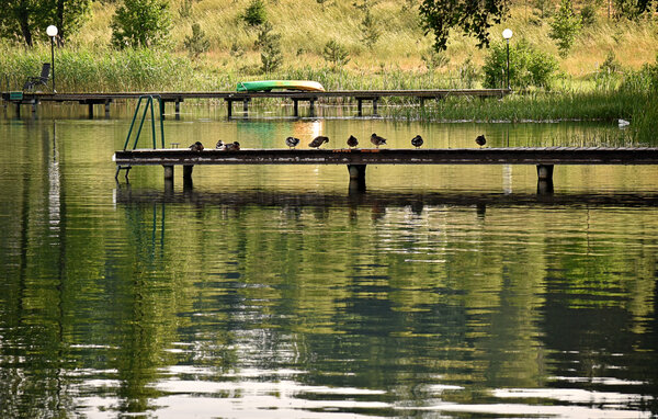 Domy wakacyjne - Zlocieniec , Polska - PKA035 803