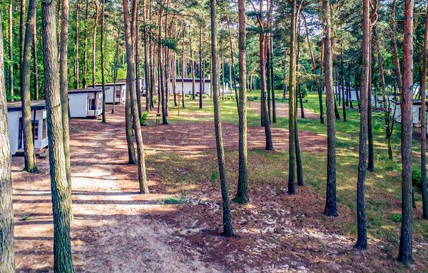 Feriehuse - Skarszewo , Polen - PKA208 911