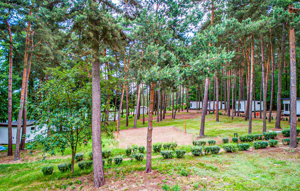 Feriehuse - Skarszewo , Polen - PKA208 5
