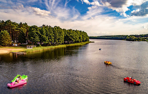 Holiday Home - Skarszewo , Poland - PKA212 907