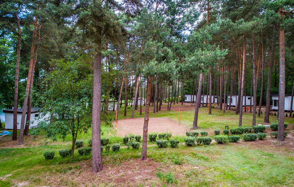 Vakantiehuis - Skarszewo , Polen - PKA212 2