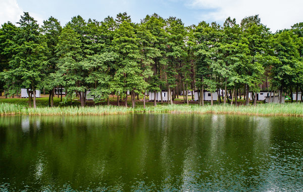 Holiday Home - Skarszewo , Poland - PKA212 7