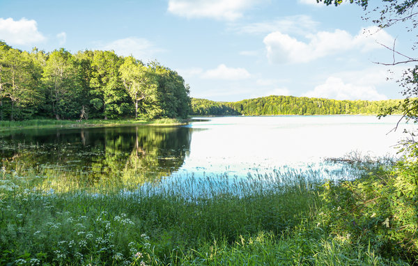 Location de vacances - Bialy Bór , Pologne - PKA216 903