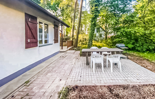 Vakantiehuis - Kamionki Male , Polen - PKA222 2