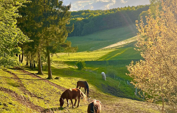 Casa de vacaciones - Kartuzy , Polonia - PKA773 902