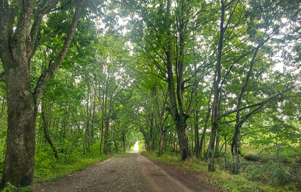 Domy wakacyjne - Bytów , Polska - PKA900 903