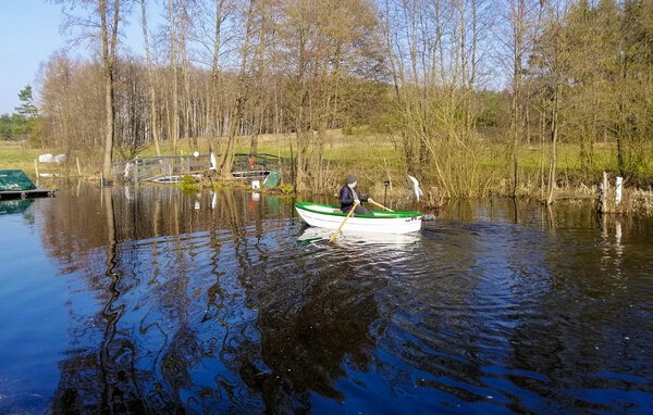 Feriehuse - Ludwichowo , Polen - PKA905 901