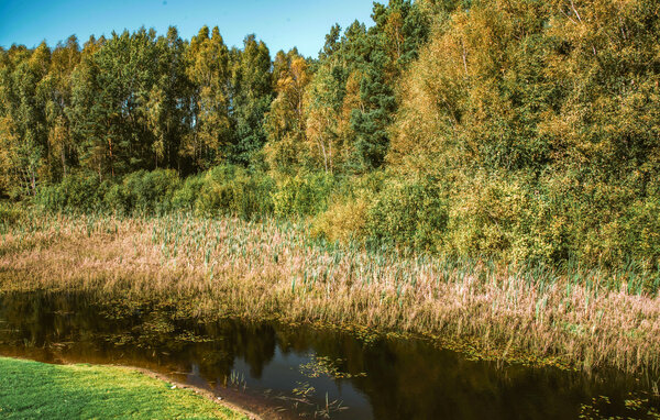 Ferienhaus - Koscierzyna , Polen - PKA935 103