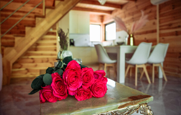 Ferienhaus - Koscierzyna , Polen - PKA937 303