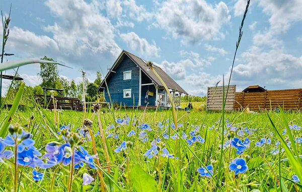 Ferienhaus - Stare Czaple , Polen - PKA960 1