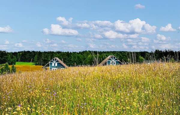 Ferienhaus - Stare Czaple , Polen - PKA960 104
