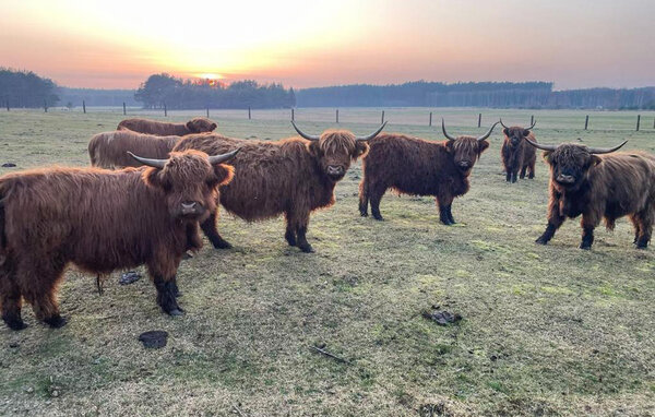 Apartament - Pólka , Polska - PKA979 902