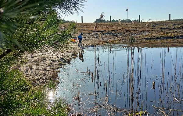 Apartament - Pólka , Polska - PKA979 903