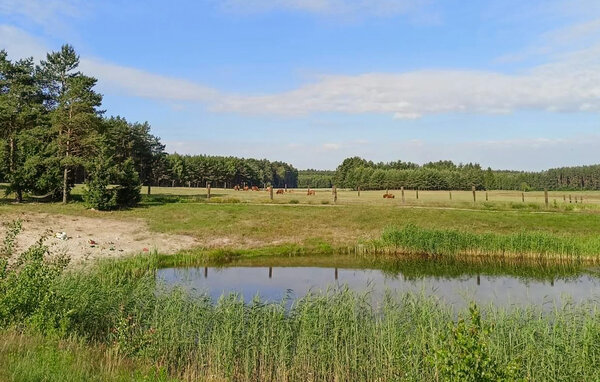 Apartament - Pólka , Polska - PKA979 905