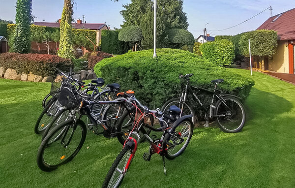 Holiday Home - Kaliska , Poland - PKA981 910