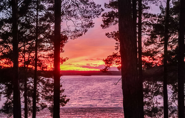 Domy wakacyjne - Ocypel , Polska - PKA985 201