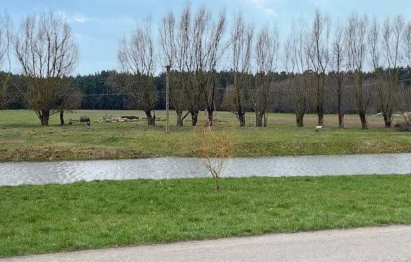 Semesterhus - Trynisze Moszewo , Polen - PMA502 201