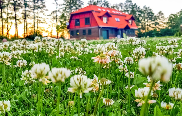 Ferienwohnung - Gizycko , Polen - PMA859 1