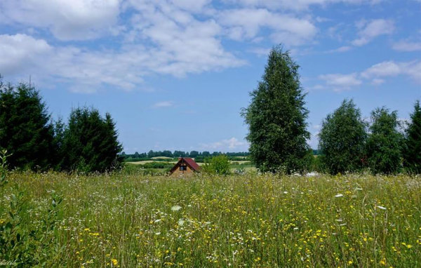 Ferienhaus - Piszewo , Polen - PMA899 901