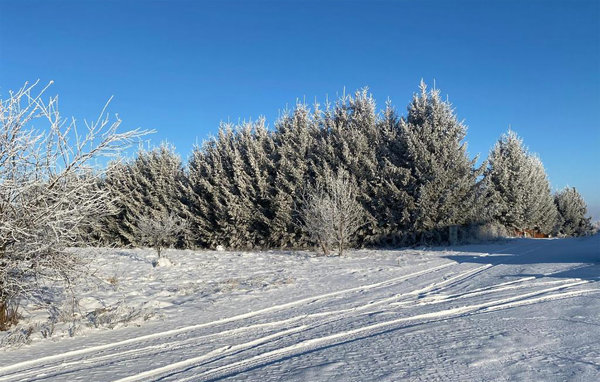 Ferienhaus - Piszewo , Polen - PMA899 905