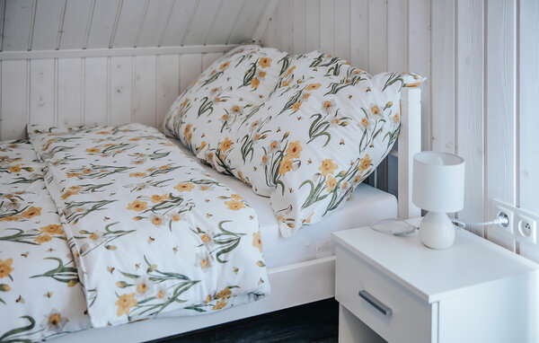 Domy wakacyjne - Laliki , Polska - PPG014 601