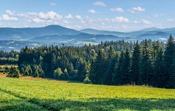 Domy wakacyjne - Myslenice , Polska - PPG600 901