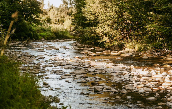 Feriehus - Baligrod , Polen - PPG906 901