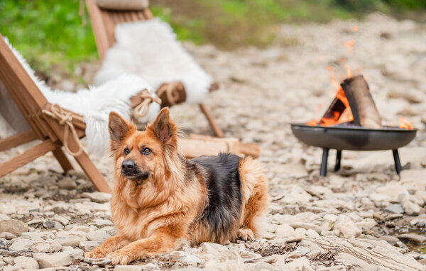 Feriehus - Baligrod , Polen - PPG906 903