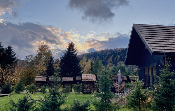 Feriehus - Baligrod , Polen - PPG906 105